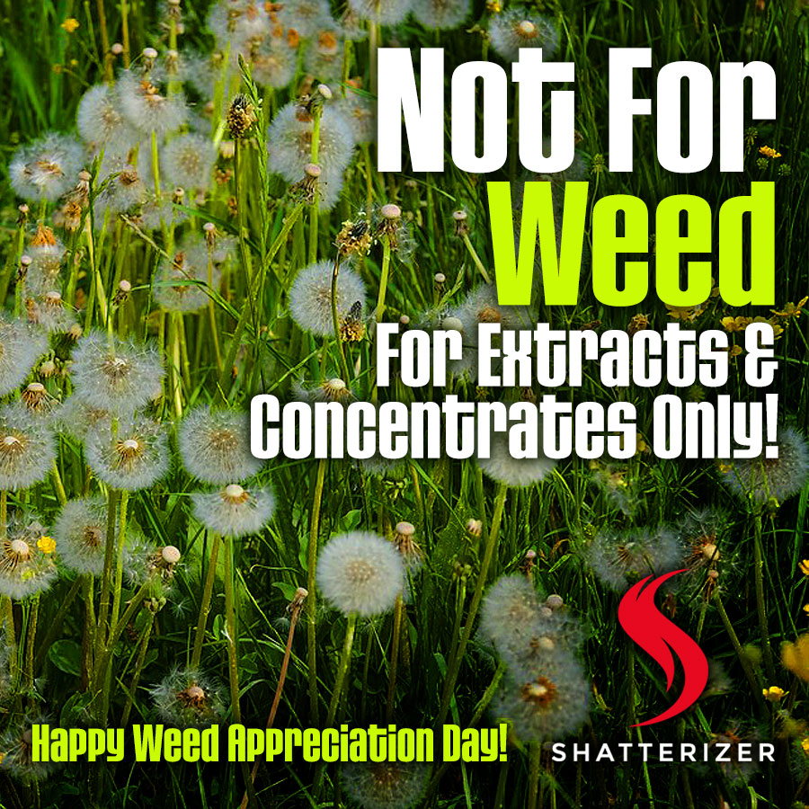 Happy WEED Appreciation Day! But …